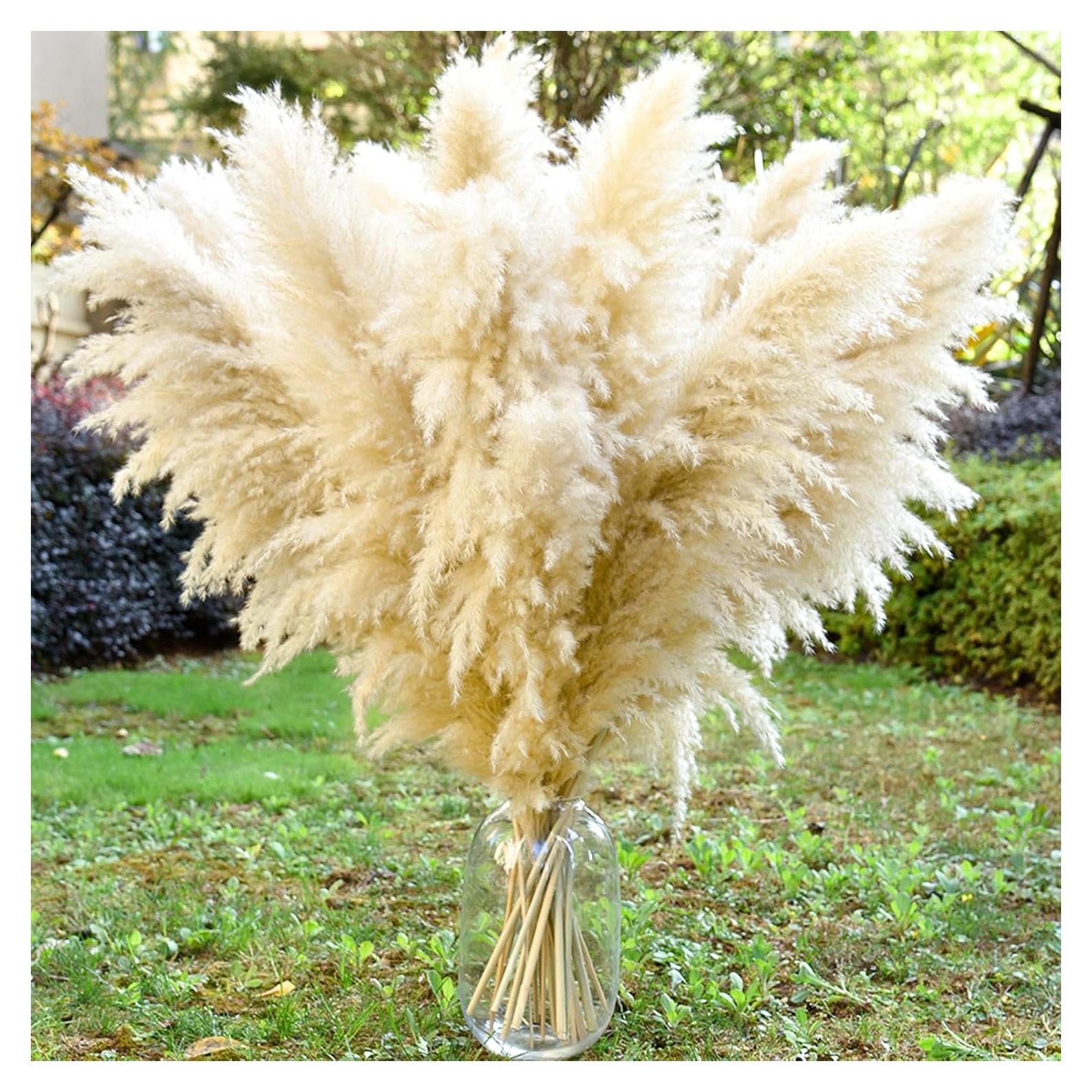 11 Piezas de Hierba Pampas Secas Beige 101.6 cm para Decoración