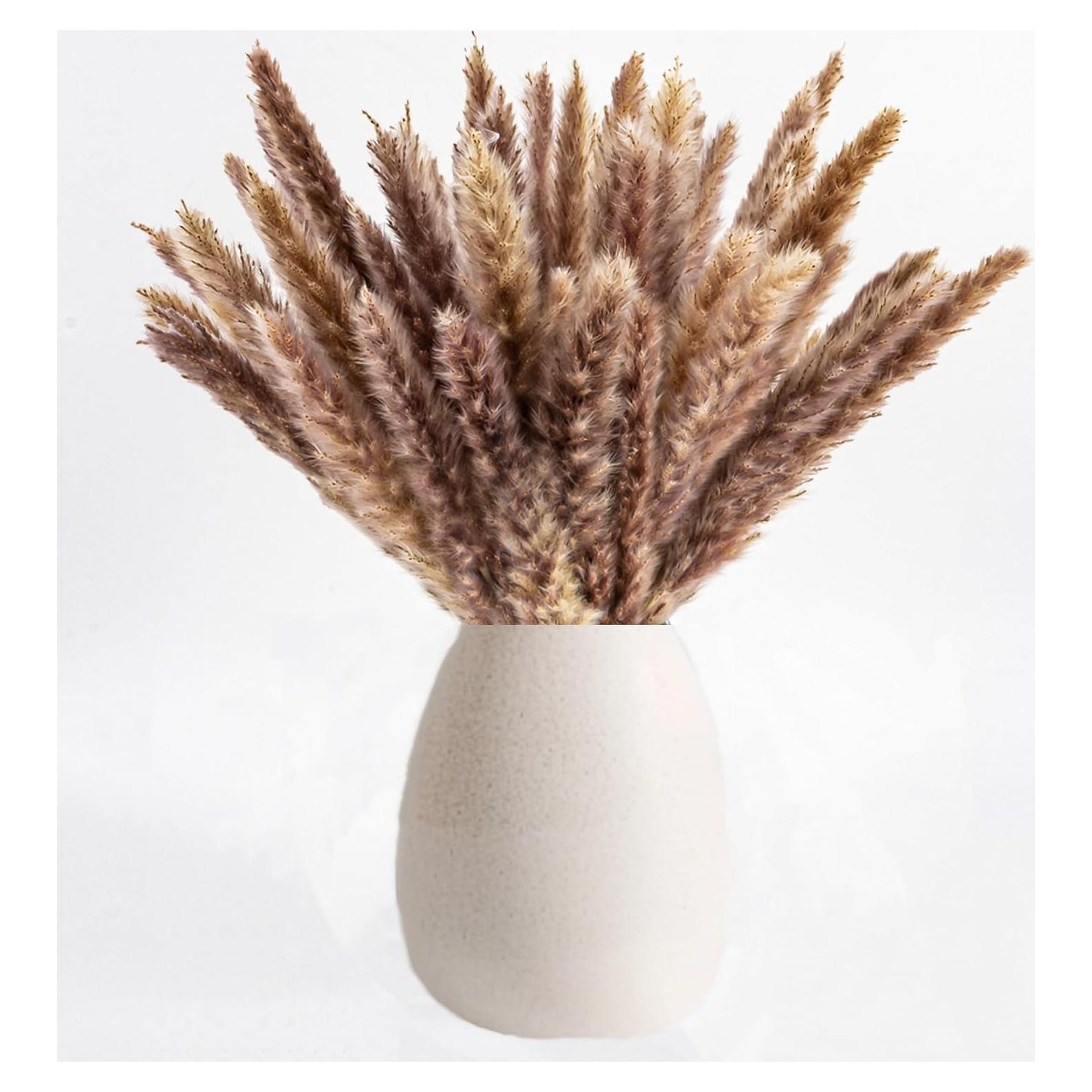 50 Piezas de Hierba Pampas Secas Naturales - Decoración Boho