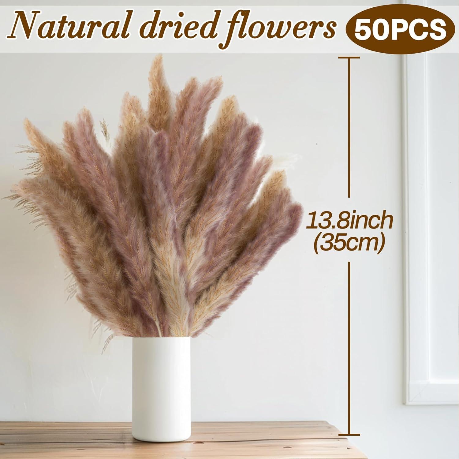 50 Piezas de Hierba Pampas Secas Naturales - Decoración Boho