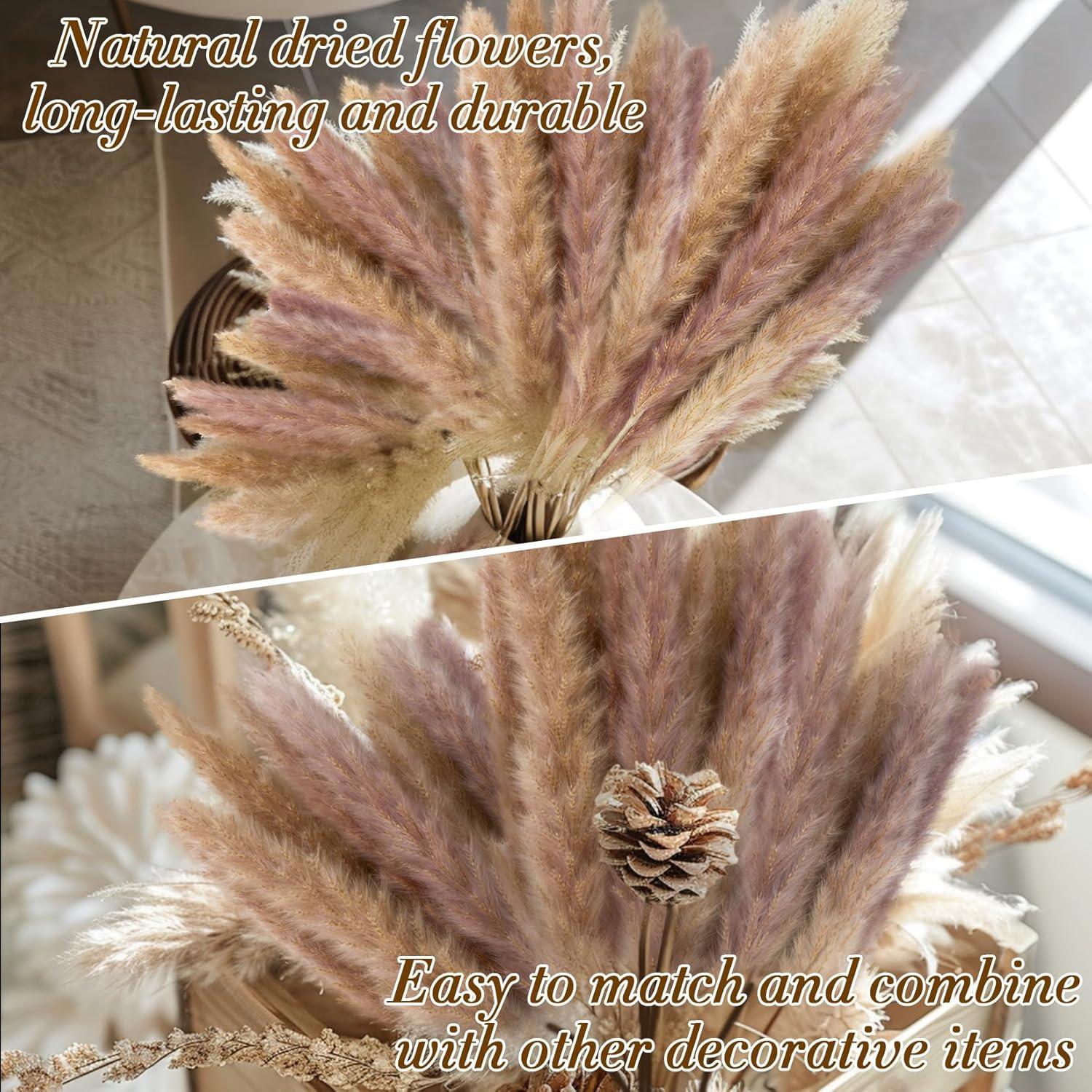 50 Piezas de Hierba Pampas Secas Naturales - Decoración Boho