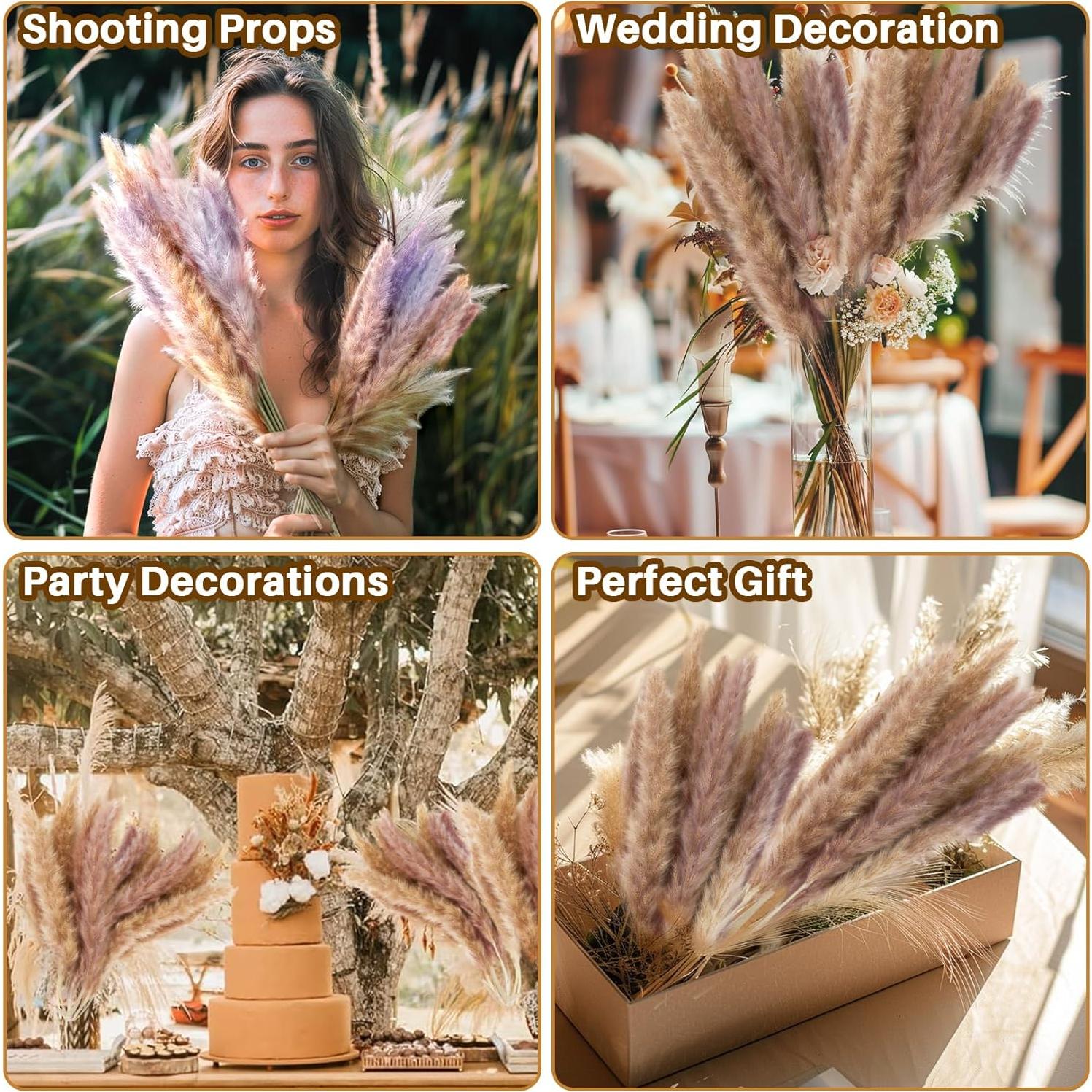 50 Piezas de Hierba Pampas Secas Naturales - Decoración Boho