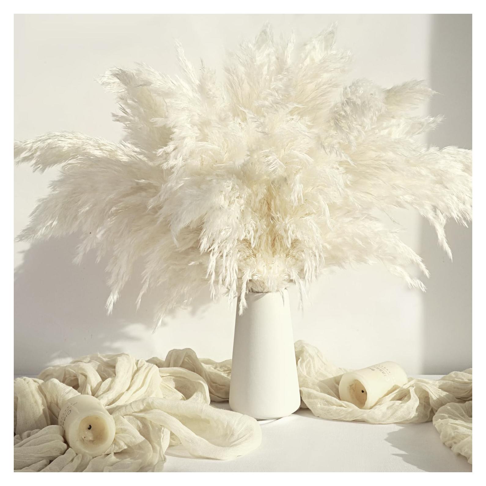 20PCS Hierba Pampas Secas Blancas ROROUNE para Decoración