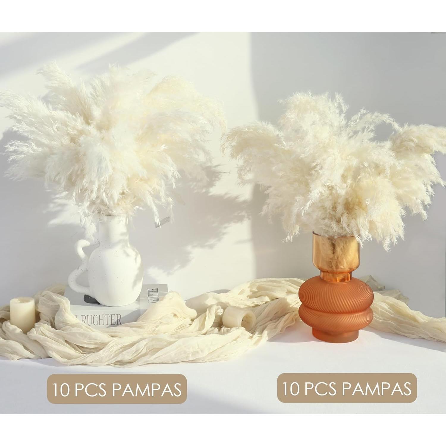 20PCS Hierba Pampas Secas Blancas ROROUNE para Decoración