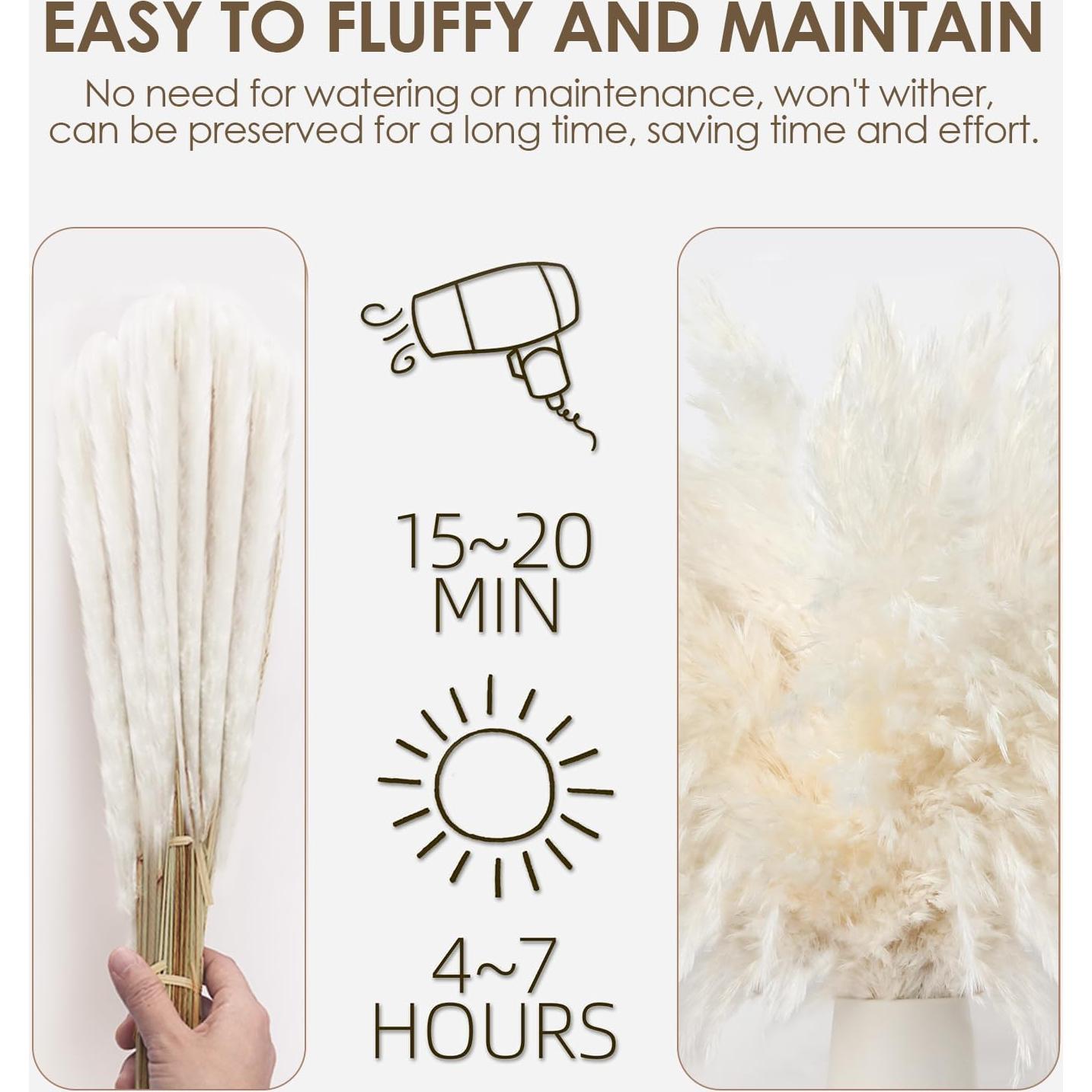 20PCS Hierba Pampas Secas Blancas ROROUNE para Decoración