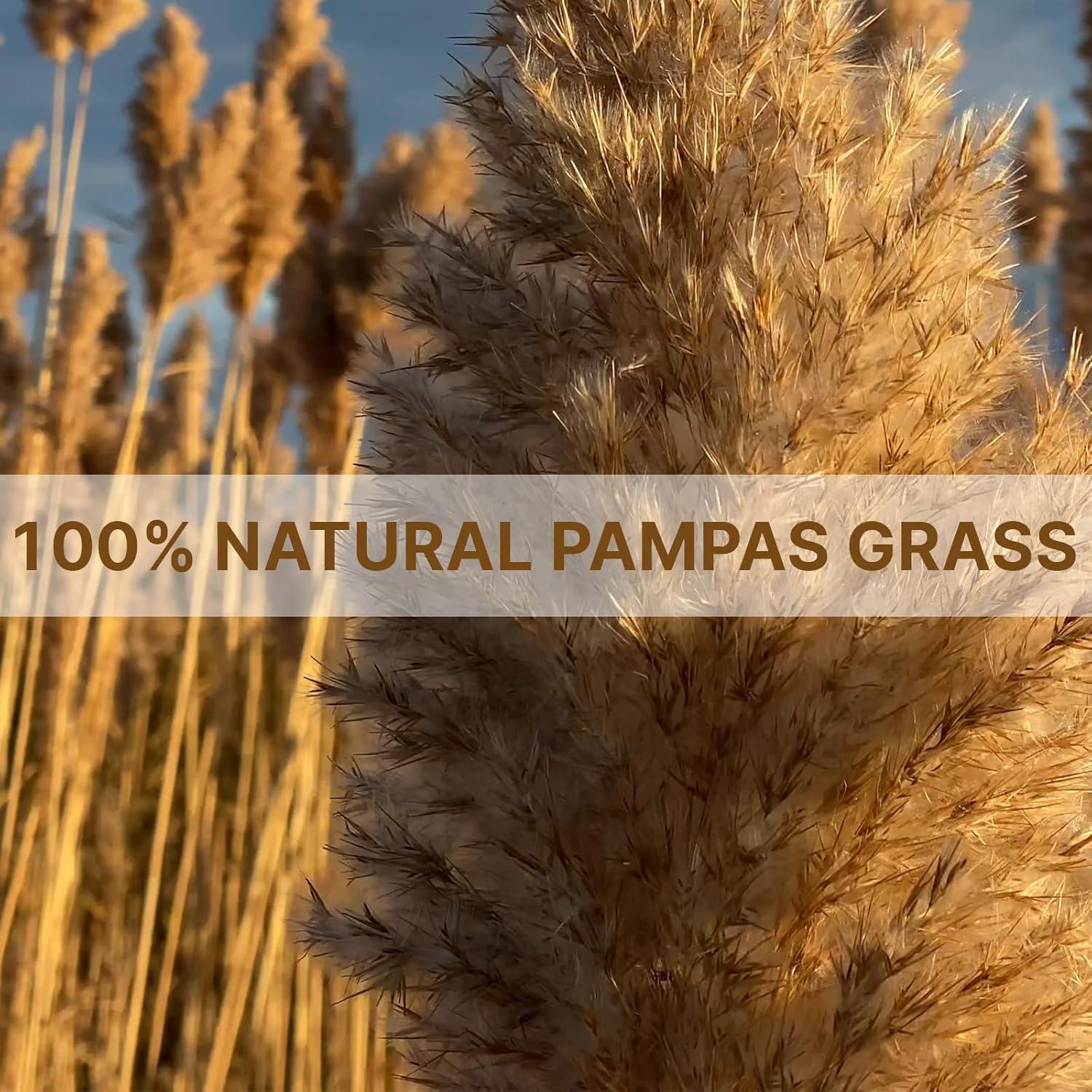 22 Piezas de Hierba de Pampas Secas Marrón 43 cm - Decoración Boho