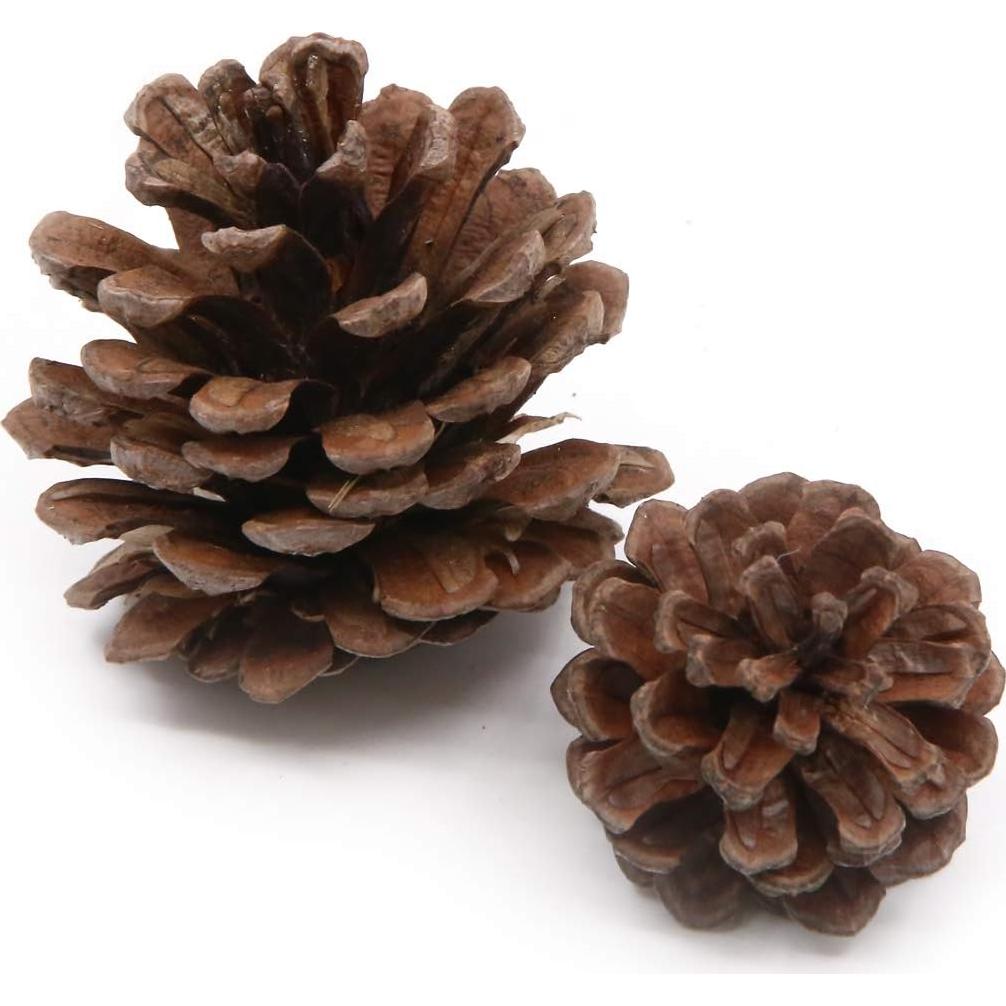 Conjunto de Adornos Navideños Apol 120 Pcs Bellotas y Piñas