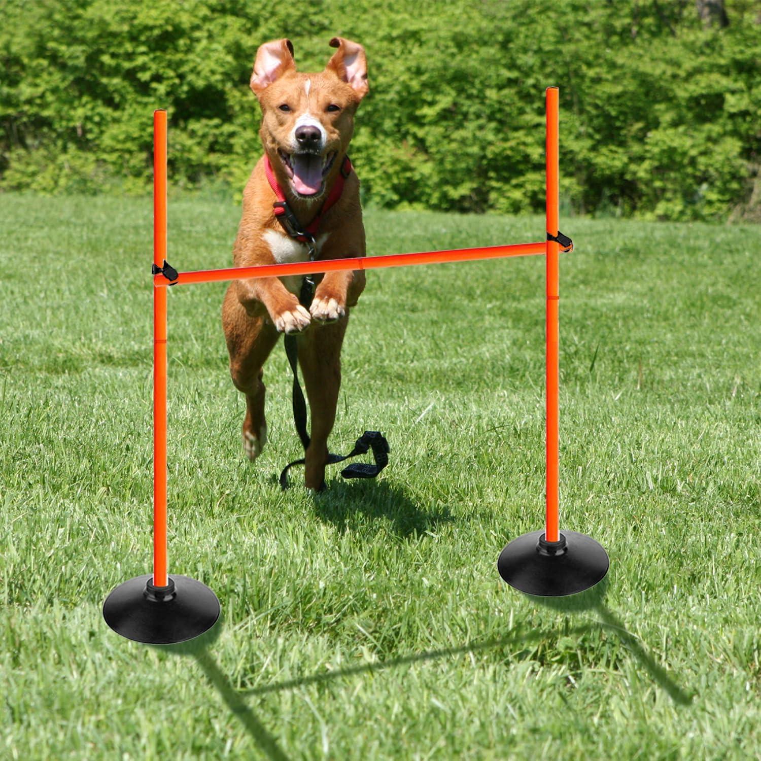 Conjunto de Vallas de Agilidad Voodans 1.0 m Naranja 3 Piezas