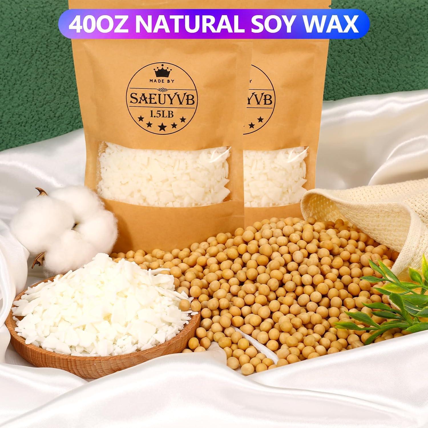 Kit de Fabricación de Velas SAEUYVB - 8 Latas y Olla LED