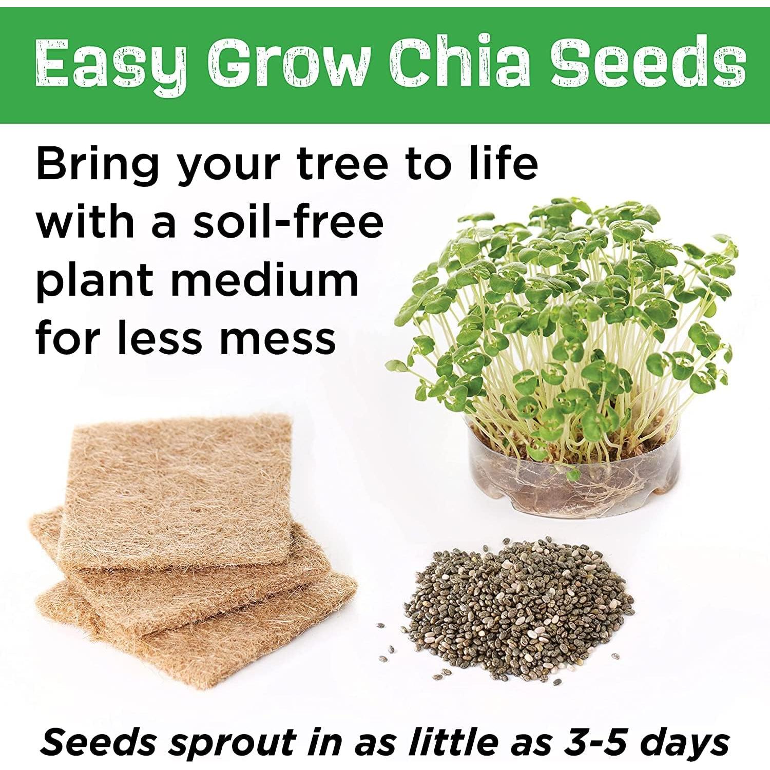 Kit de Manualidades Creatividad para Niños Casa del Árbol