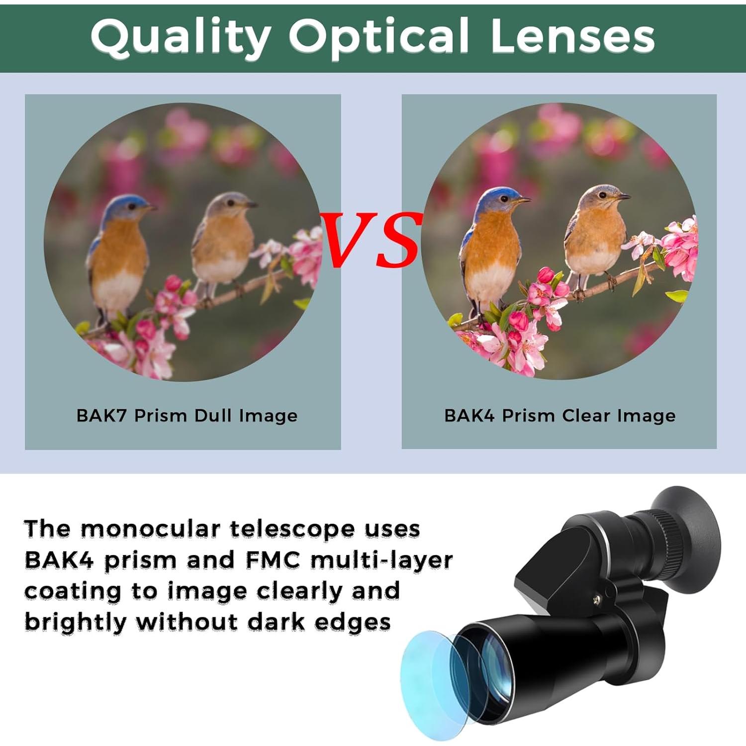 Telescopio Monocular LIUQIJIA 8x20 Compacto para Aves