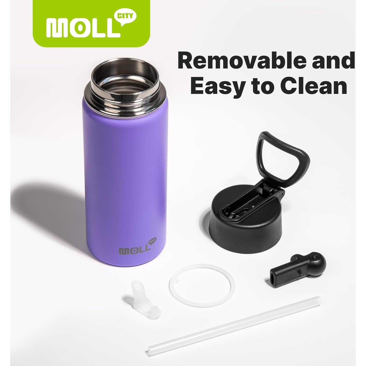 Botella de Agua Mollcity 473 ml Acero Inoxidable Verde Hierba