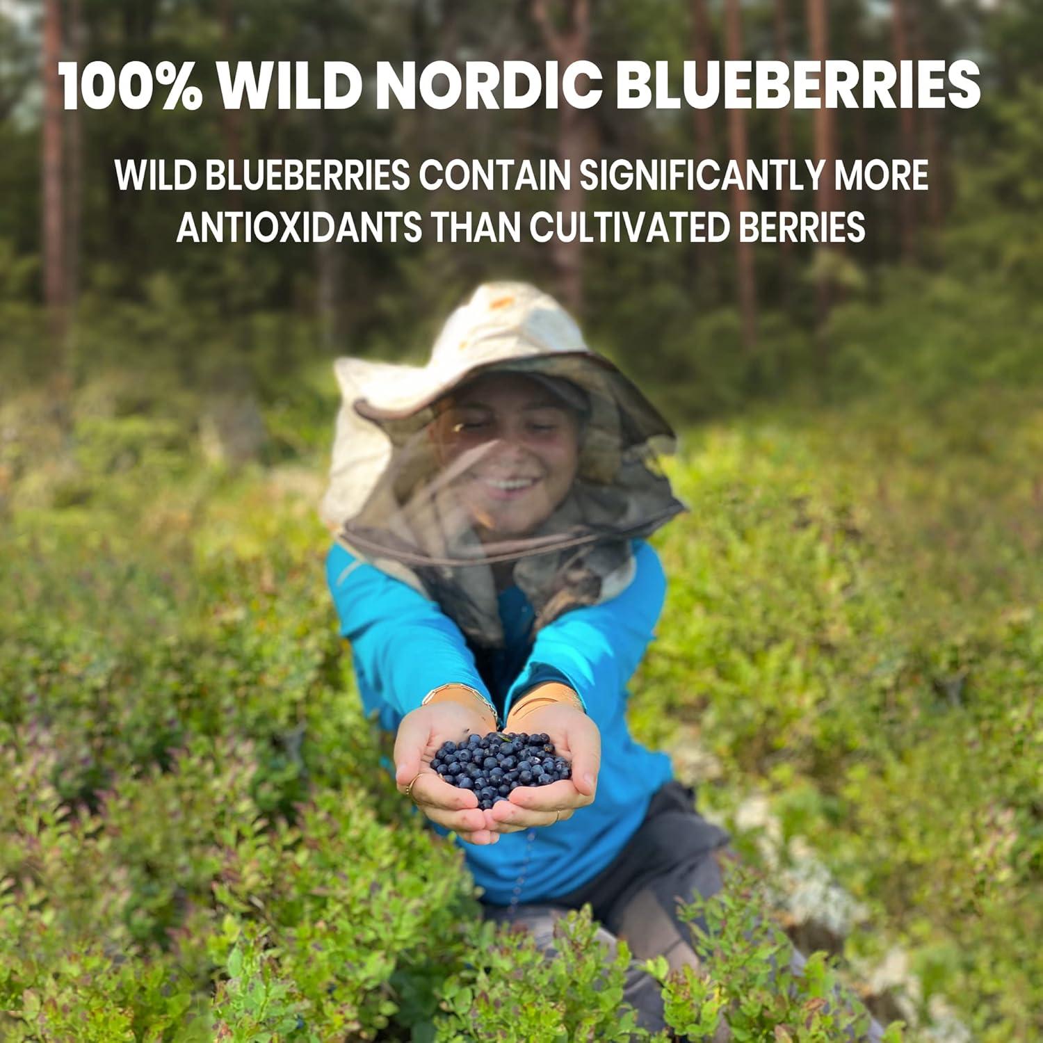 Polvo Liofilizado de Durazno y Arándano Silvestre Jungle Powders 99g