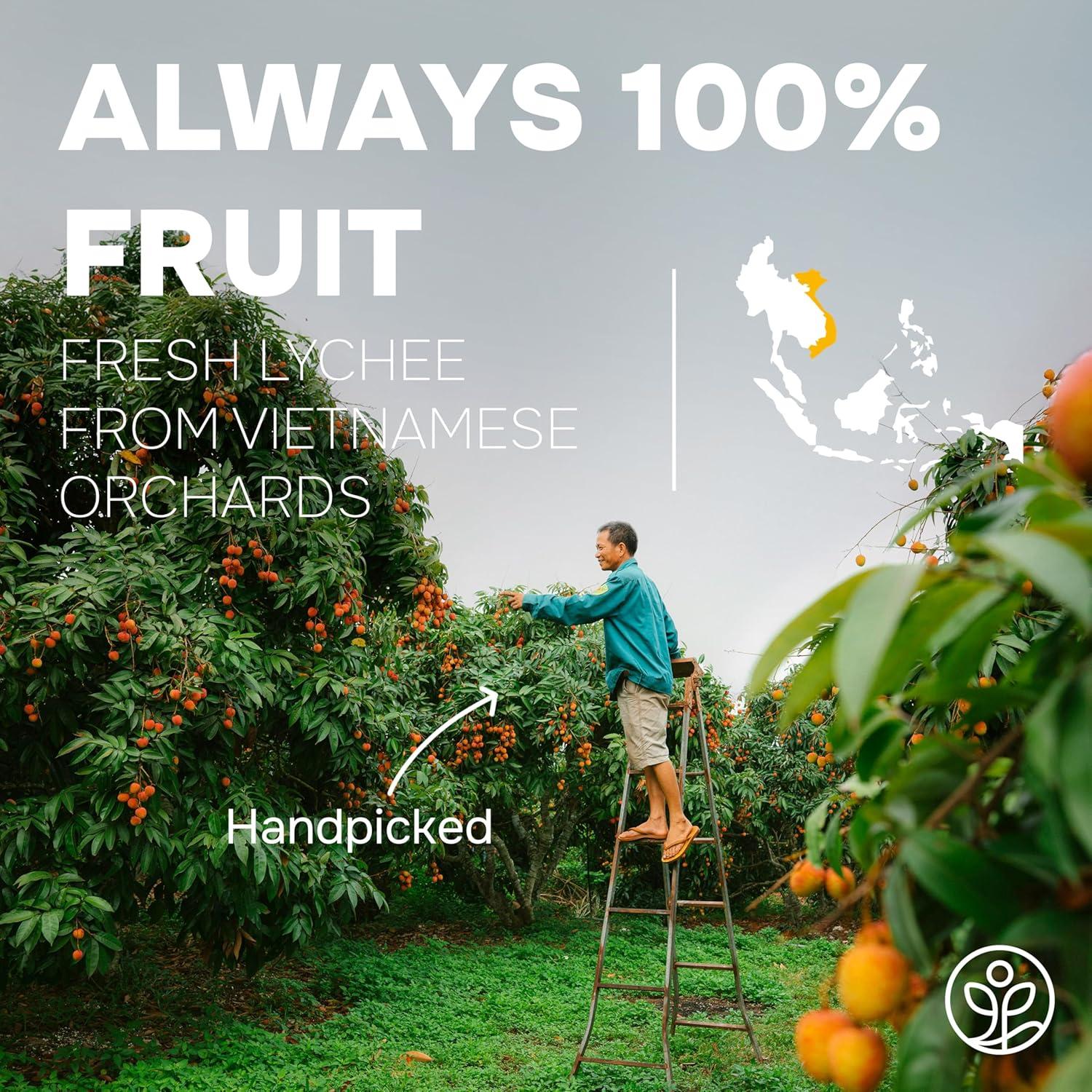 Polvo de Lichi Liofilizado Jungle Powders 141.75g - Sin Aditivos