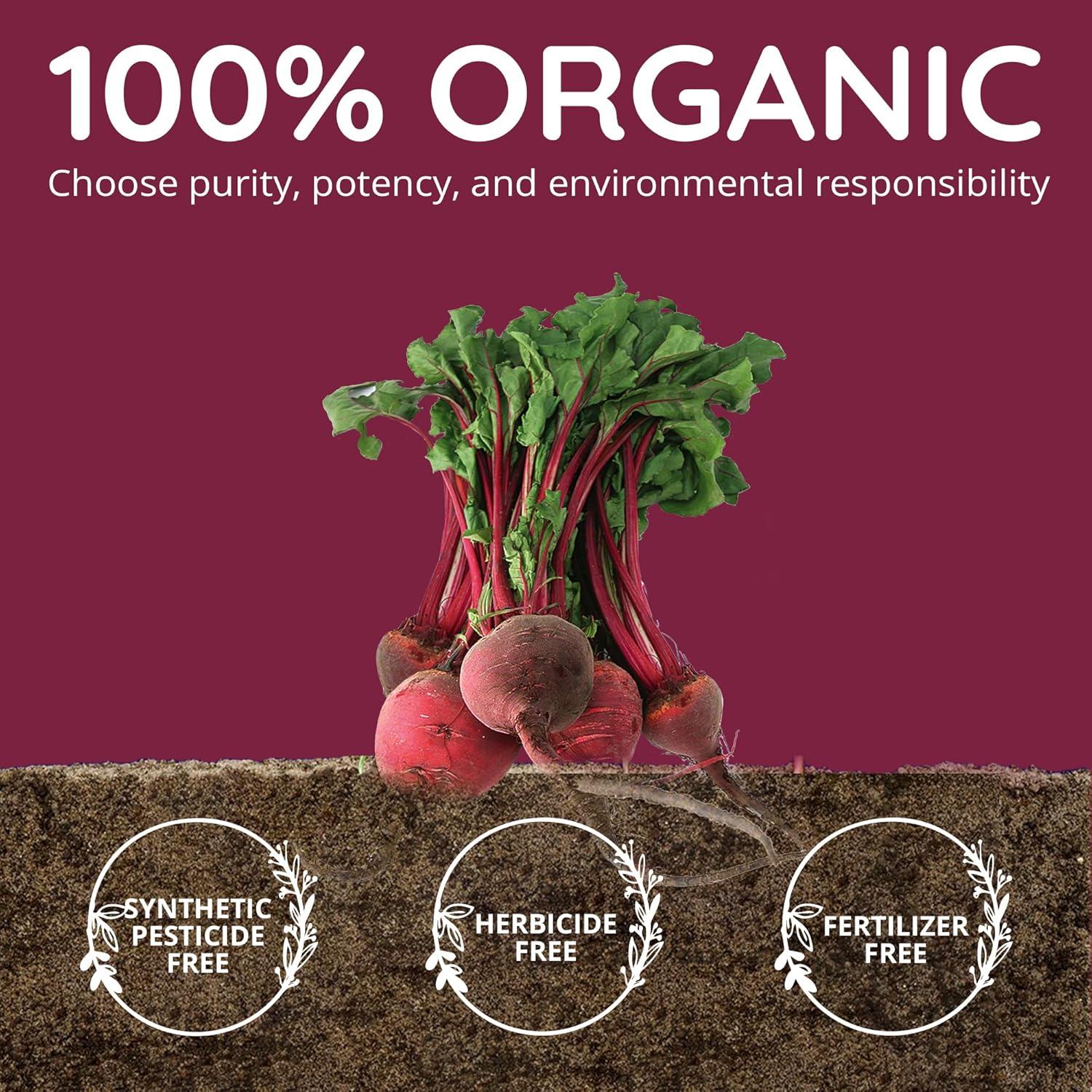 Cápsulas de Remolacha Orgánica Happy Healthy Hippie 60 Unidades