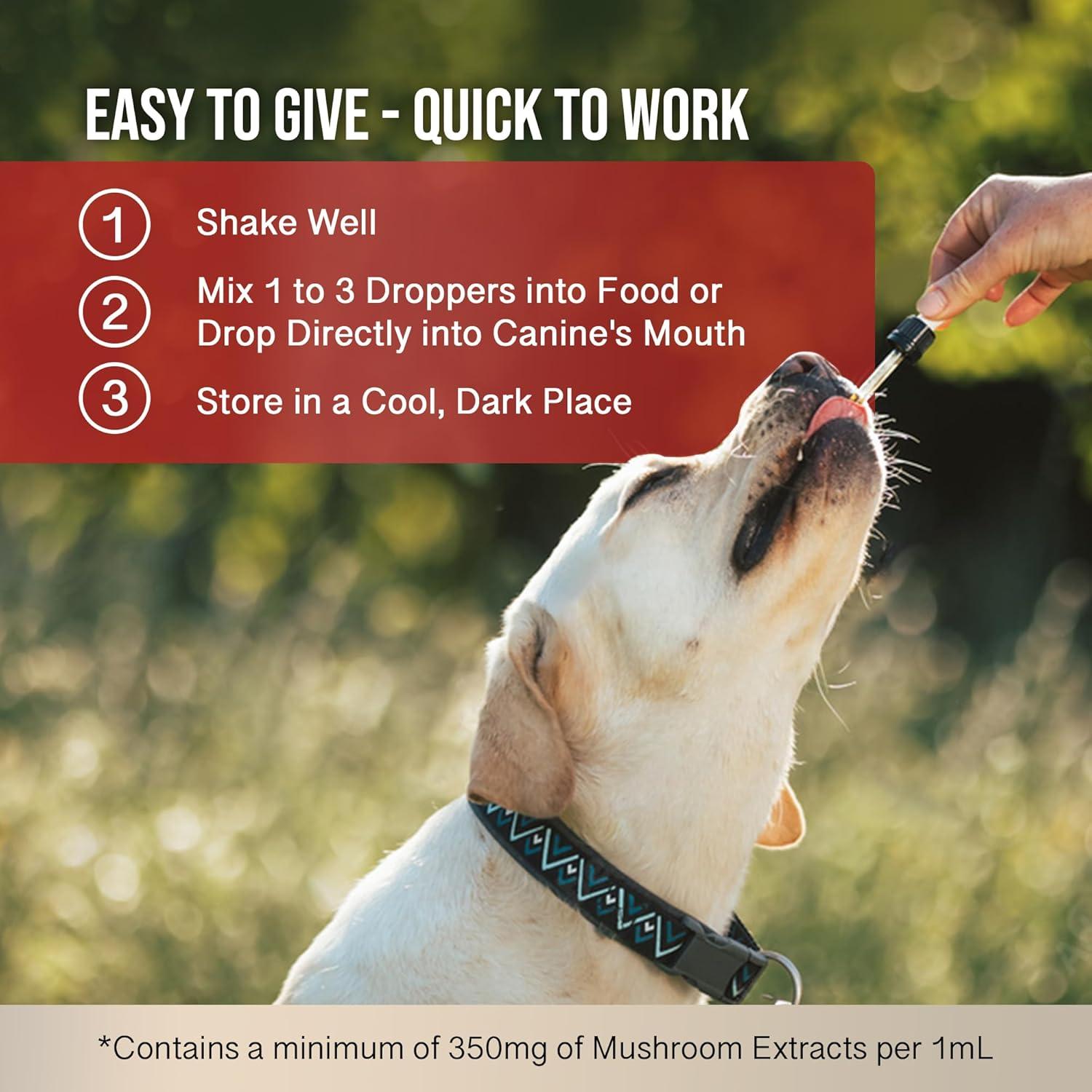 Paquete de Bienestar Dual para Perros - Removedor de Verrugas y Bálsamo de Cáñamo