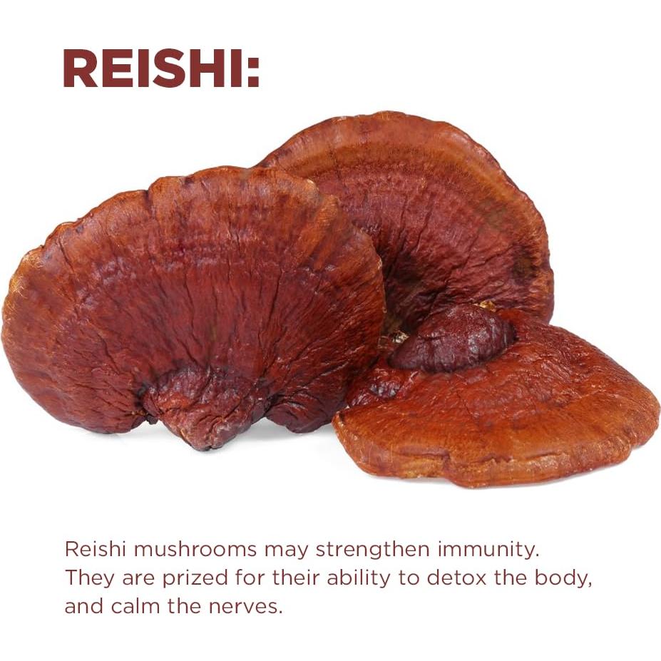 Café de Hongo Cognitivo Orgánico Terrasoul 404.3 g - 30 Porciones