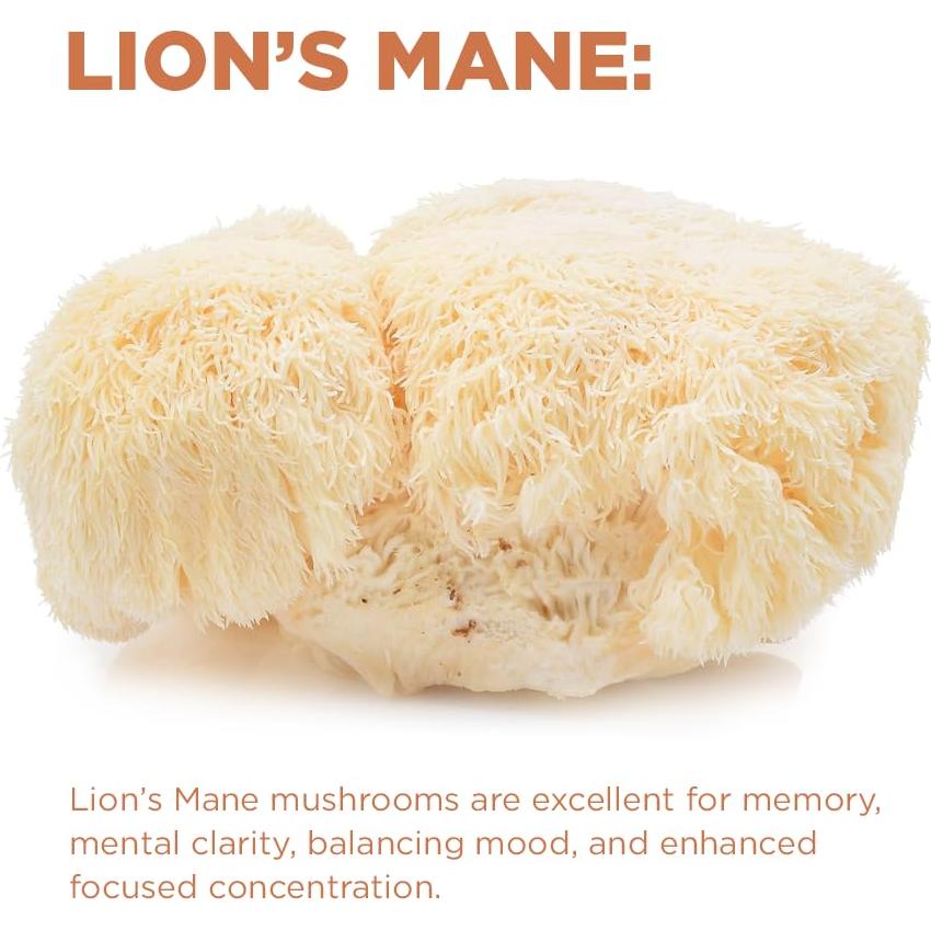 Café de Hongo Cognitivo Orgánico Terrasoul 404.3 g - 30 Porciones