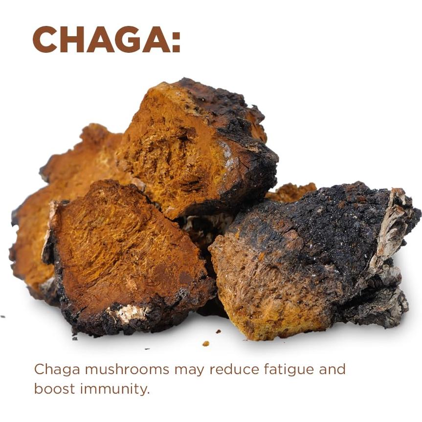 Café de Hongo Cognitivo Orgánico Terrasoul 404.3 g - 30 Porciones