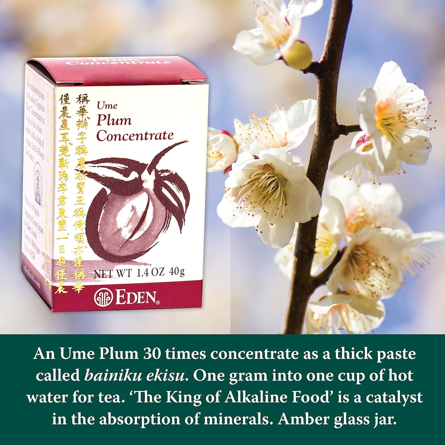 Concentrado de Ciruela Ume Eden Foods 40 g - Bainiku Ekisu