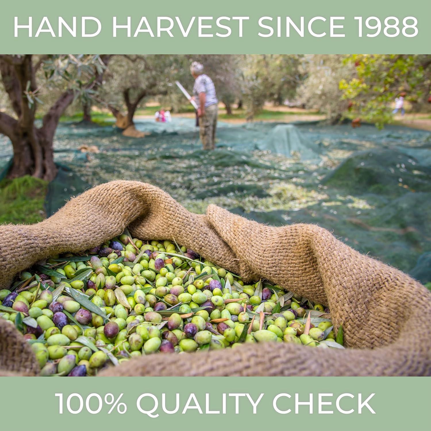 Aceite de Oliva Virgen Extra Torre Bianca 500ml Alto en Polifenoles