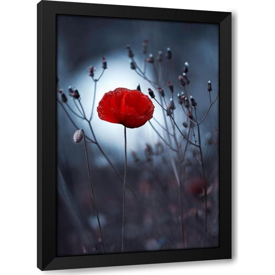 Impresión de Arte Enmarcada Fabien Bravin - Flor No Por Kenzo 33x46 a 104x152 cm