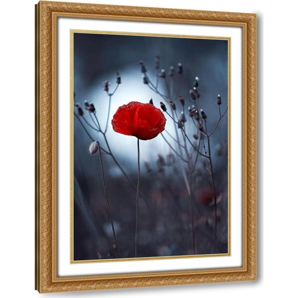 Impresión de Arte Enmarcada Fabien Bravin - Flor No Por Kenzo 33x46 a 104x152 cm