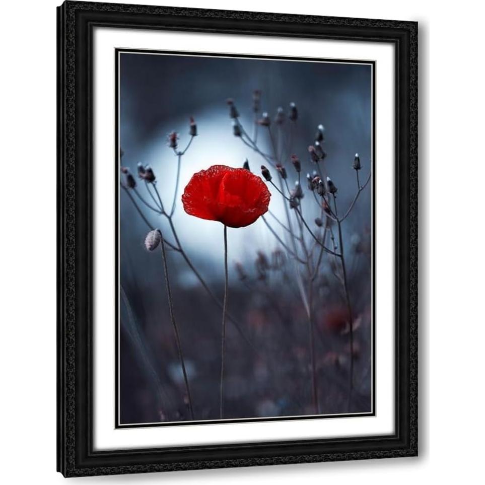 Impresión de Arte Enmarcada Fabien Bravin - Flor No Por Kenzo 33x46 a 104x152 cm