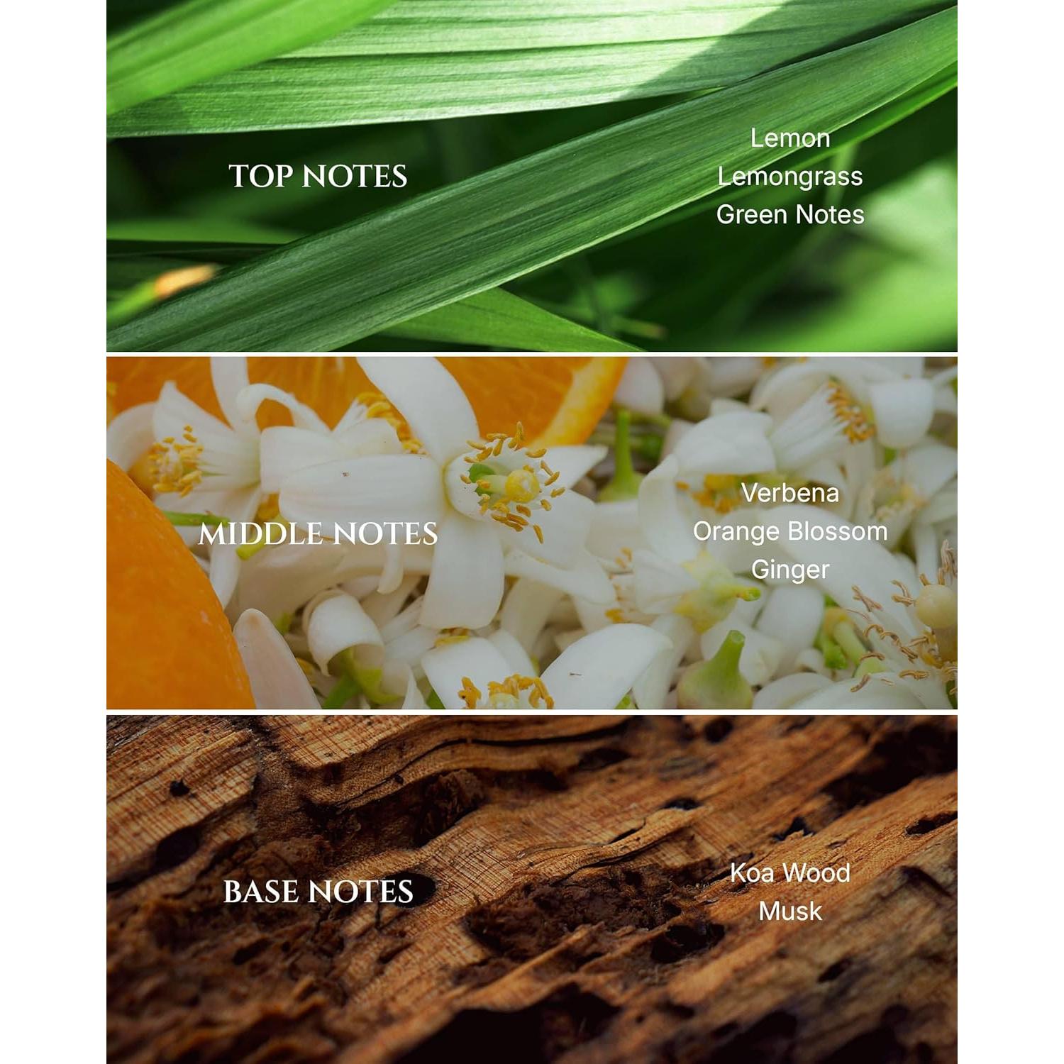 Aceite Difusor Aromadd 24K Celestia 100ml - Aromaterapia Lujo