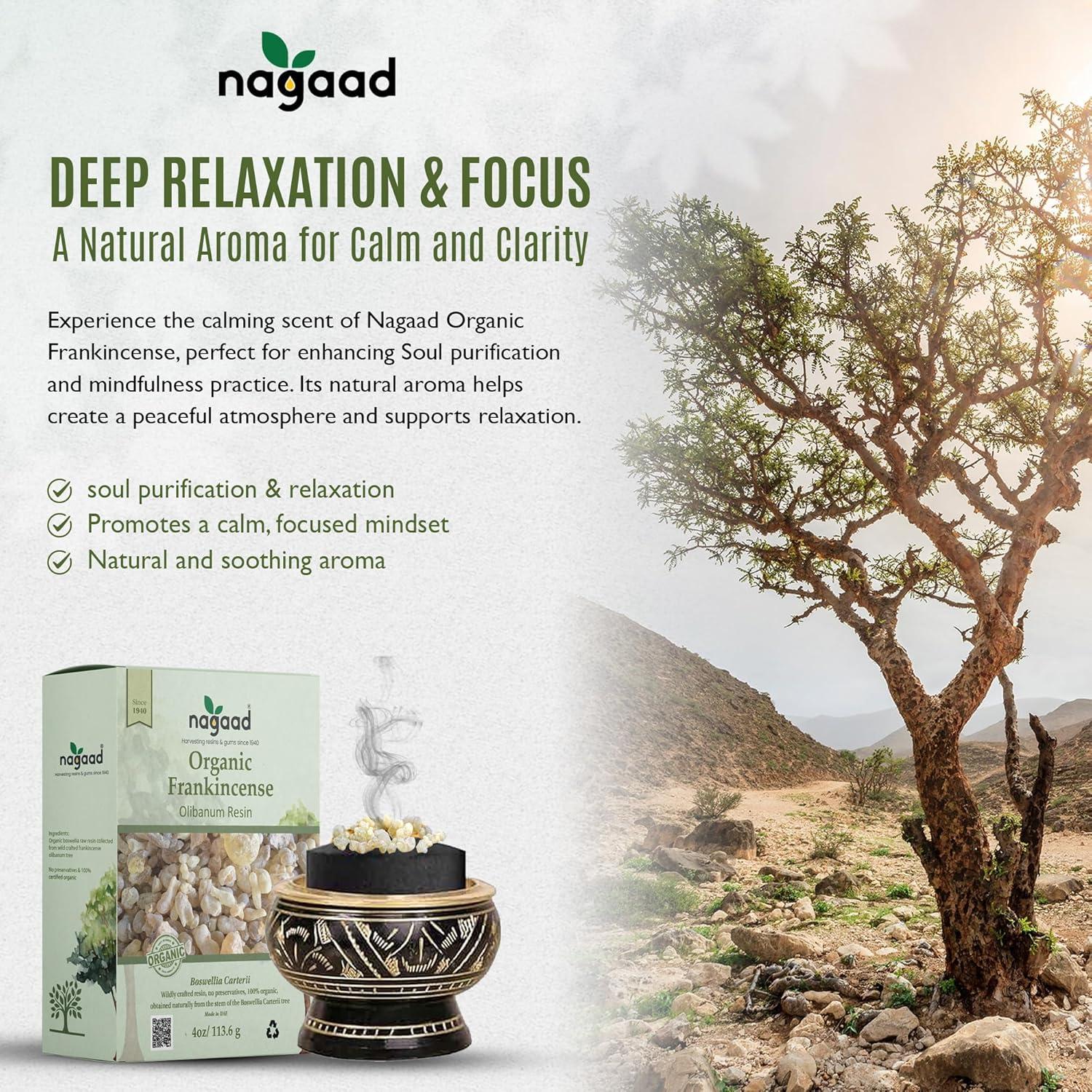 Resina de Incienso Orgánico Nagaad 113.4 g - Boswellia Carterii Pura