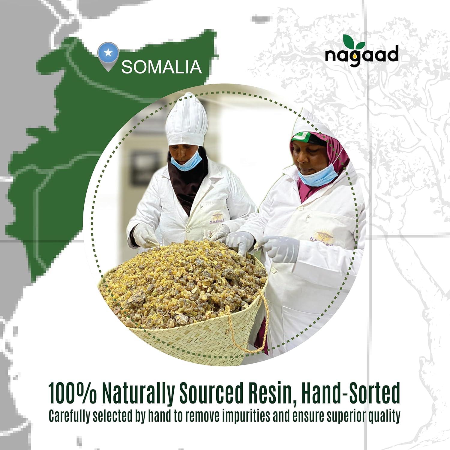 Resina de Incienso Orgánico Nagaad 113.4 g - Boswellia Carterii Pura