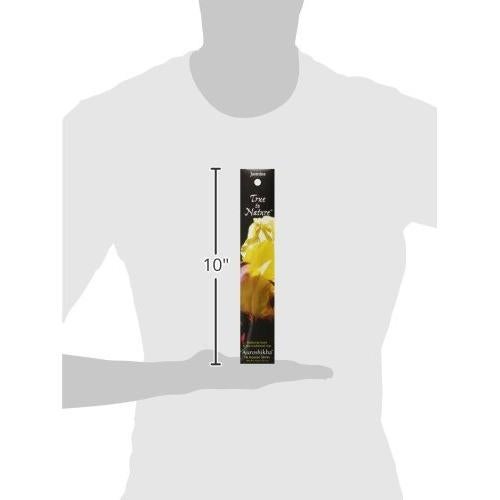 Incienso Auroshikha Jazmín Natural 10g - Aromaterapia