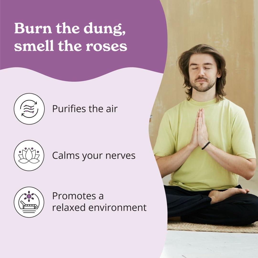 Varitas de Incienso Natural Rosa 30 Unidades Mejor Alt