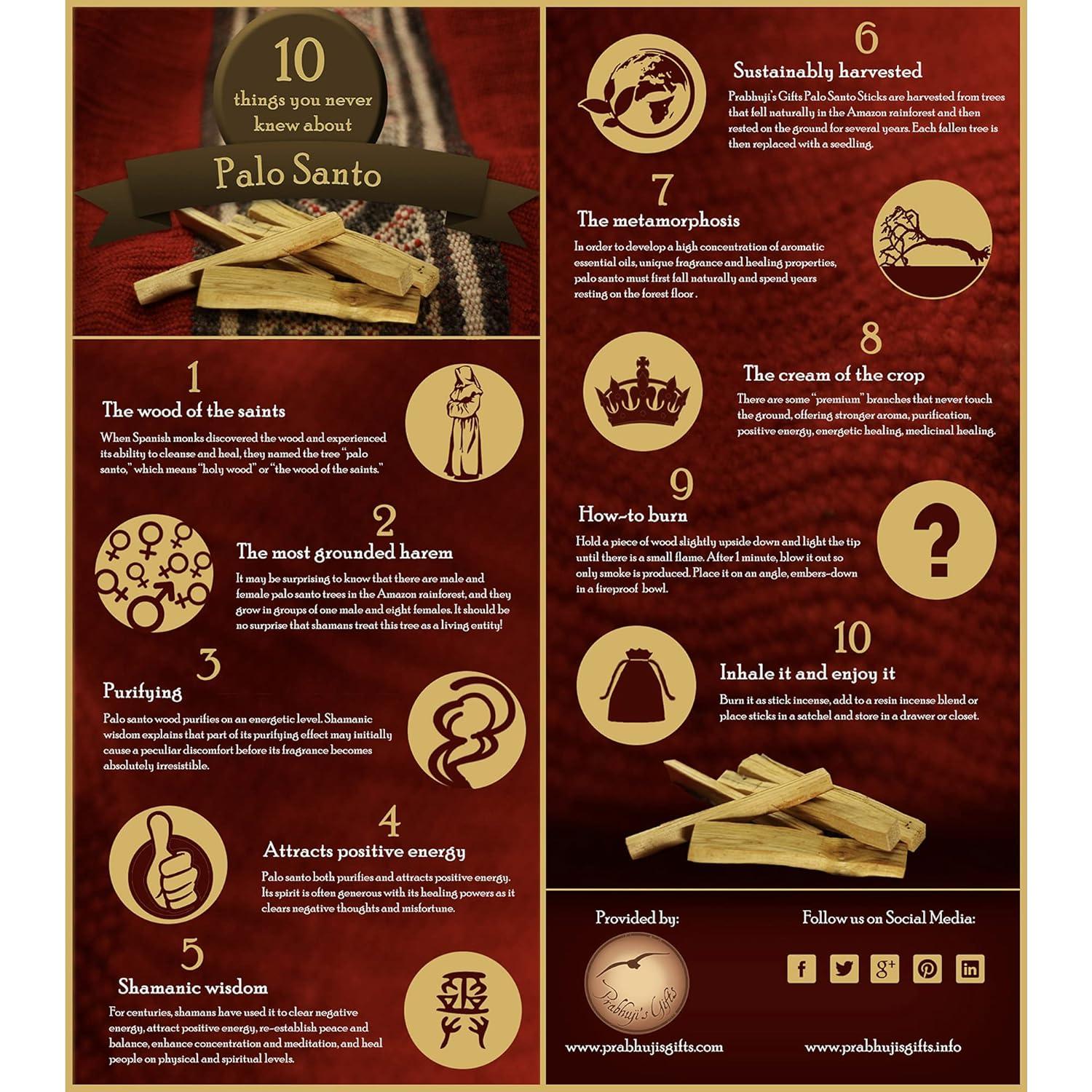 Conos de Incienso Palo Santo Prabhuji's Gifts - 6 Unidades