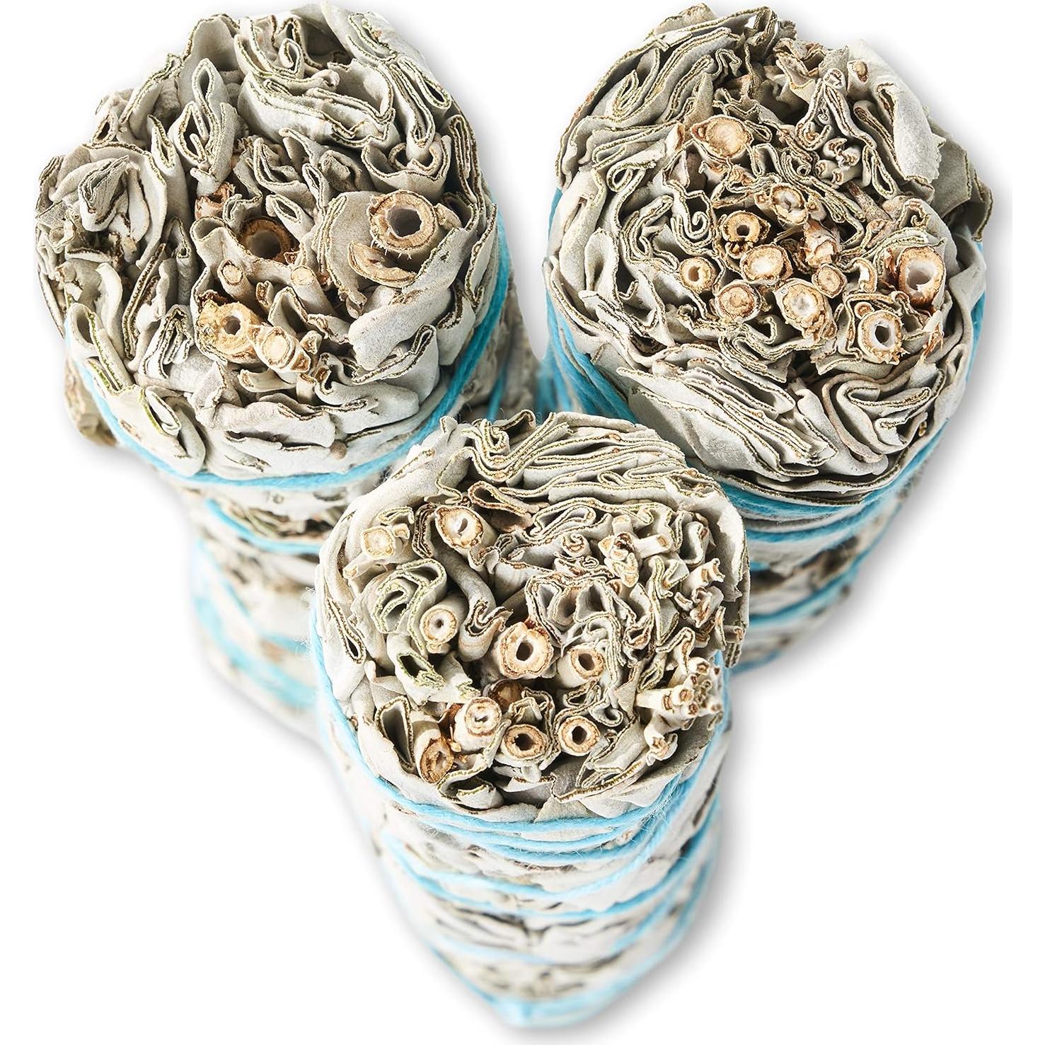 Palos de Salvia Blanca 22.86 cm Blue River Sage - 6 Paquete