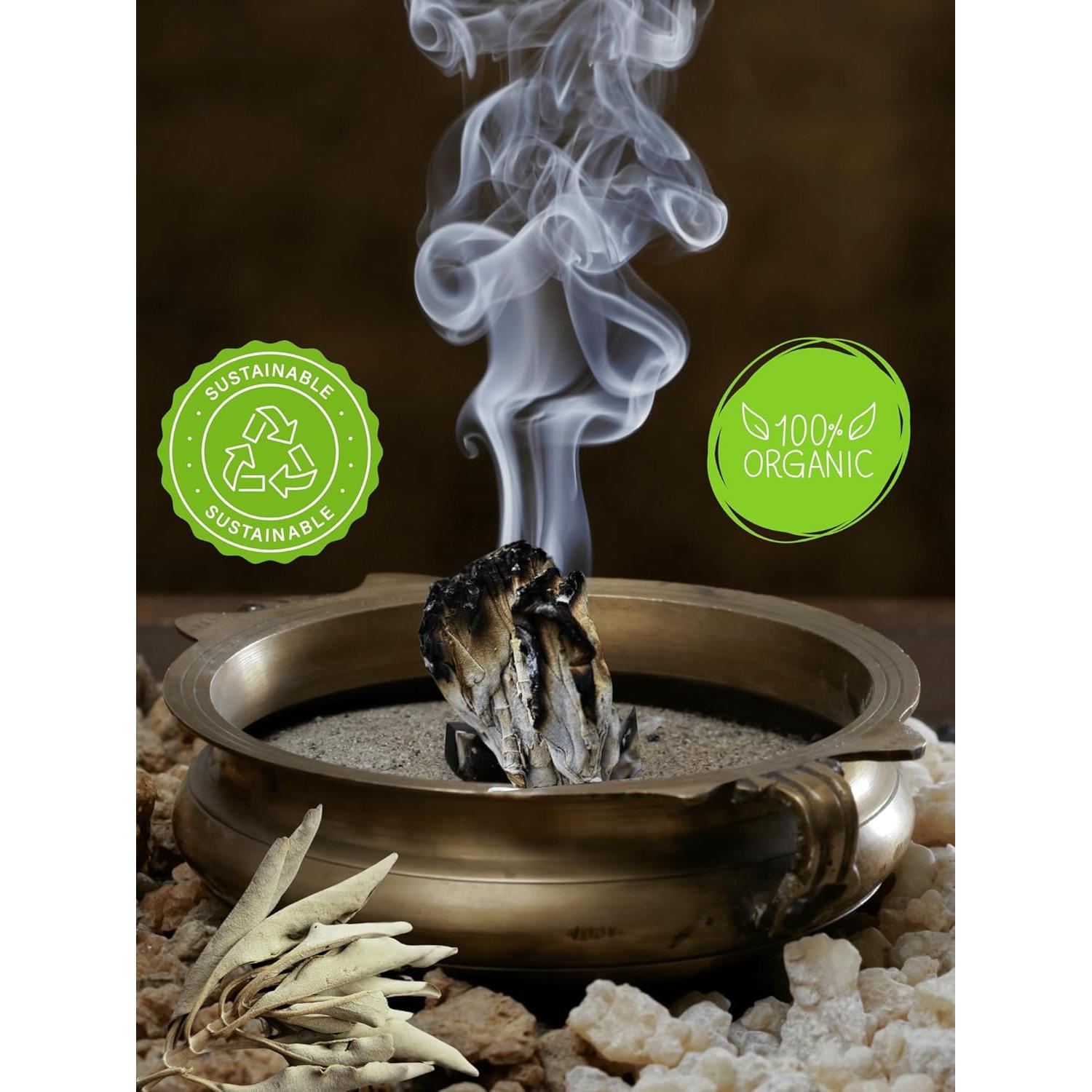 Racimos de Salvia Blanca Orgánica Worldly Finds 85g con Carbón