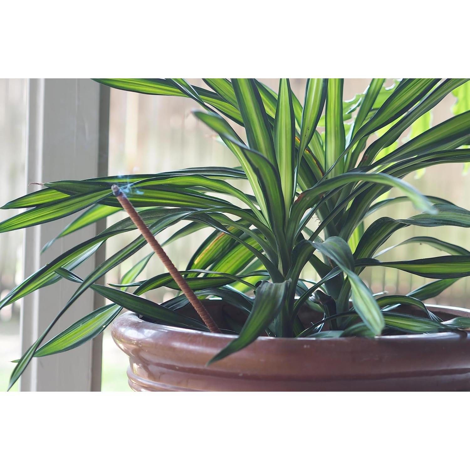 Incienso Repelente de Insectos Flora Scent 12 Unidades Orgánico