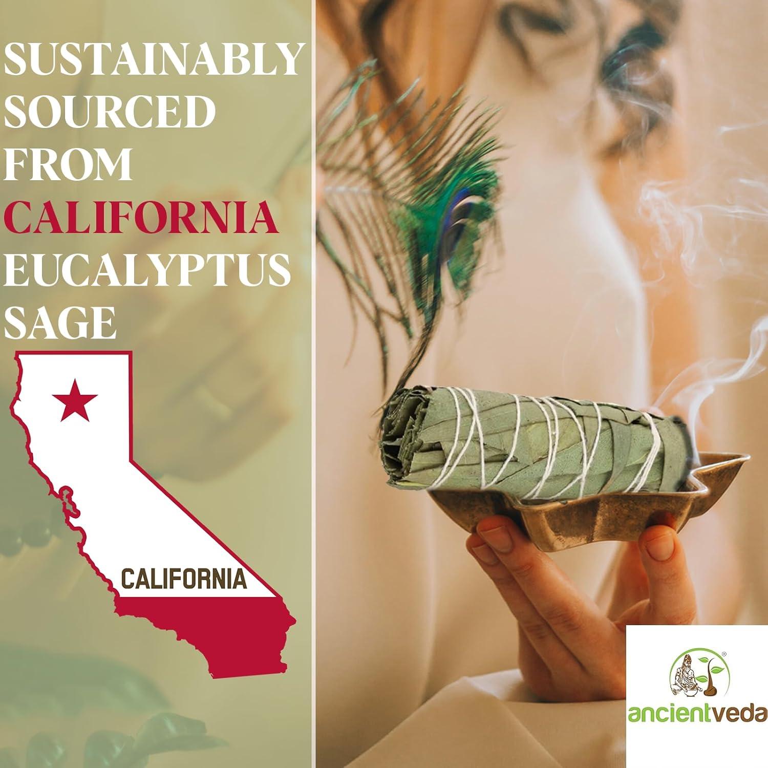 Palos de Salvia Blanca Orgánica Eucalipto 10 cm - Paquete de 3