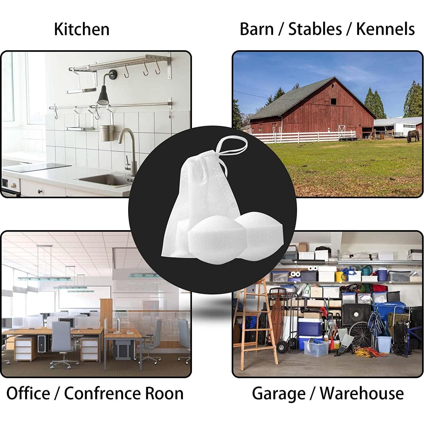 Repelente de Ratas Natural Motrapso 24 Pack Menta 0.7kg