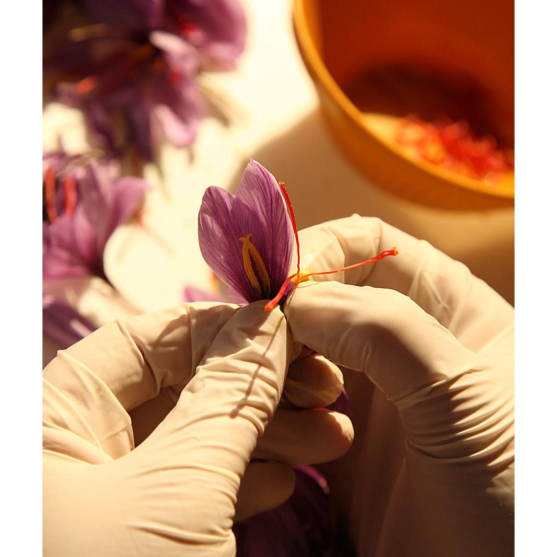 Polvo de Azafrán Premium Zaffrus - 5 Porciones de 125 mg