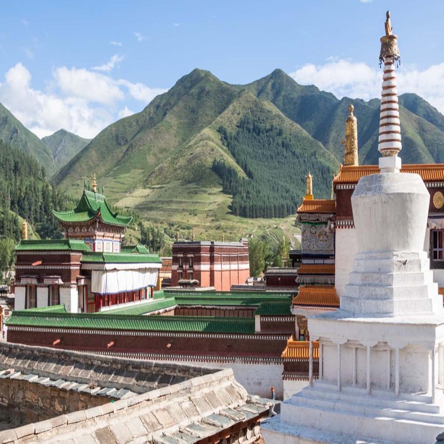 Incienso Natural Tibetano Amitofo - 94 Espirales 4 Horas