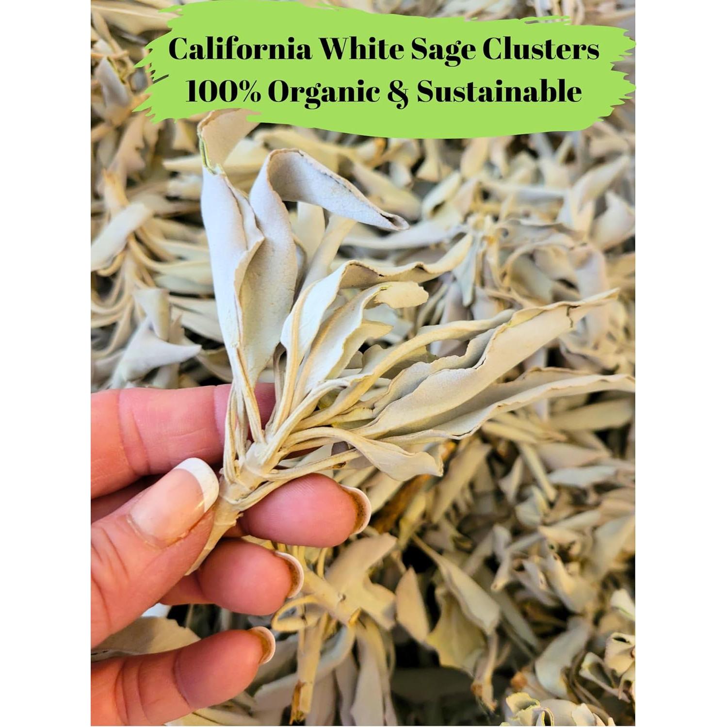 Racimos de Salvia Blanca 0.45 Kg Worldly Finds - Orgánico