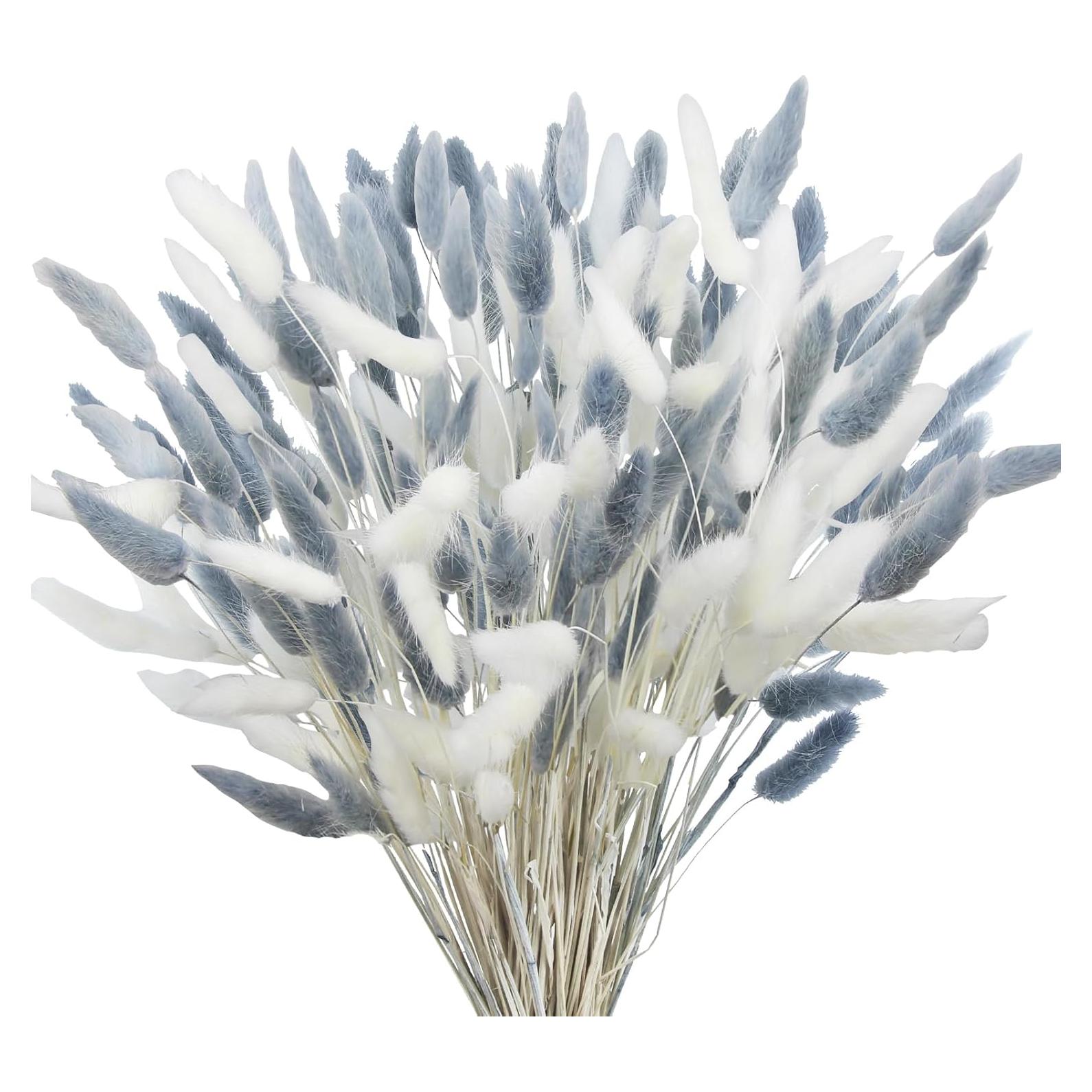 120 Pcs Flores Secas Cola de Conejo Lagurus Ovatus 43 cm