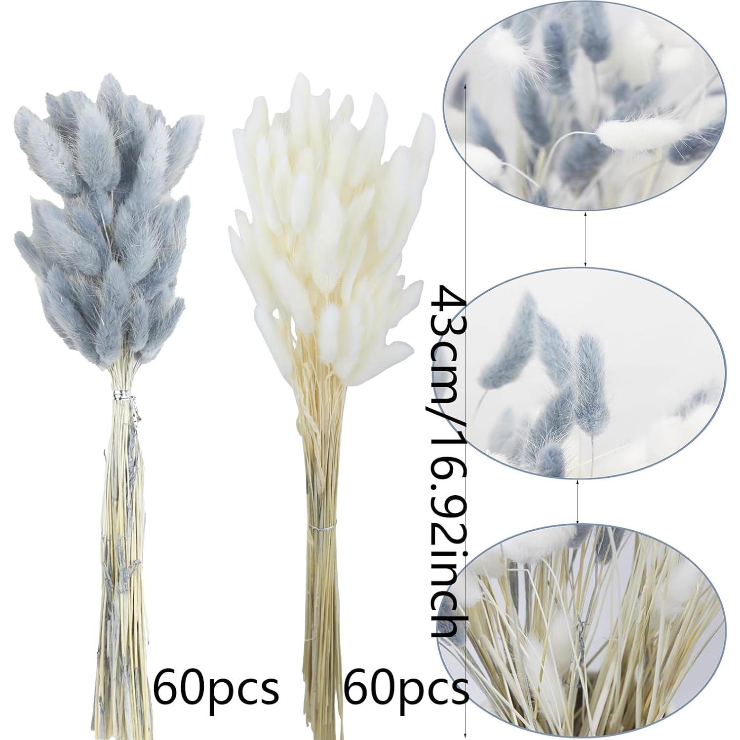 120 Pcs Flores Secas Cola de Conejo Lagurus Ovatus 43 cm