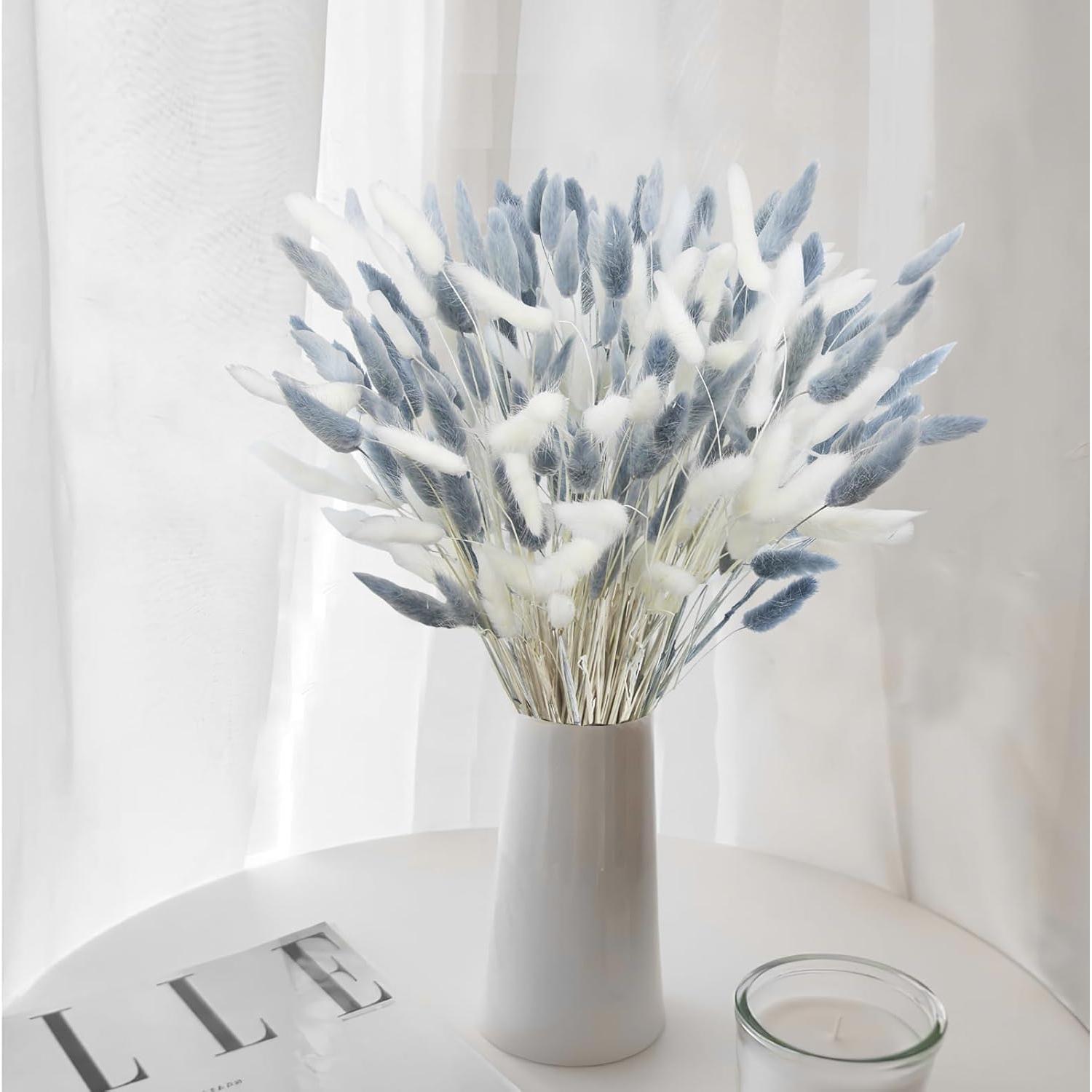 120 Pcs Flores Secas Cola de Conejo Lagurus Ovatus 43 cm