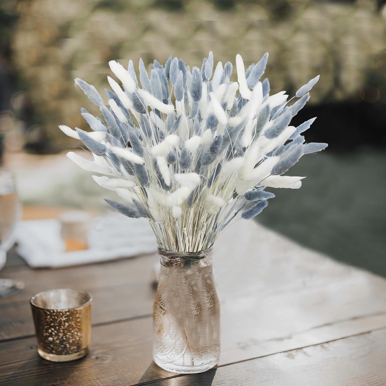 120 Pcs Flores Secas Cola de Conejo Lagurus Ovatus 43 cm