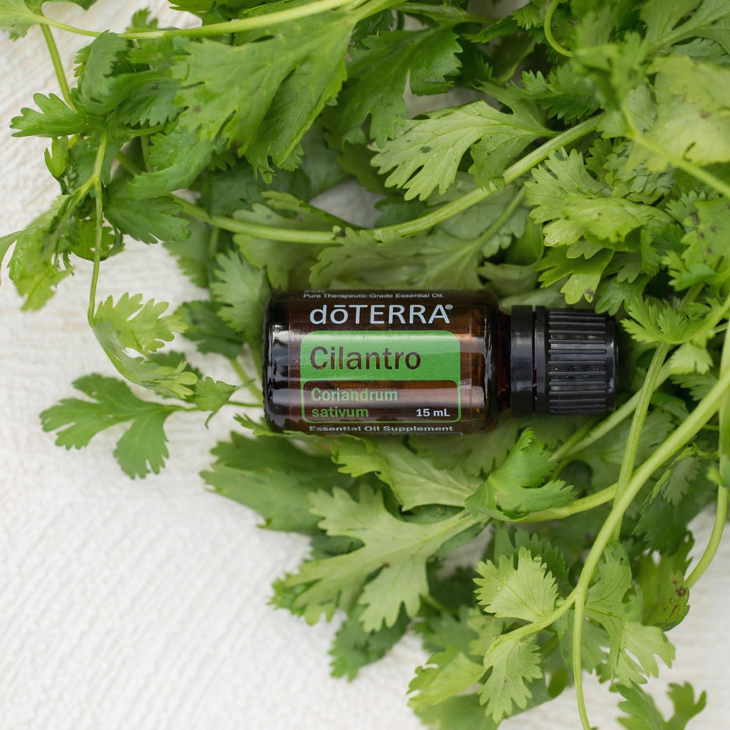 Aceite Esencial de Cilantro doTERRA 15 mL - Aroma Fresco