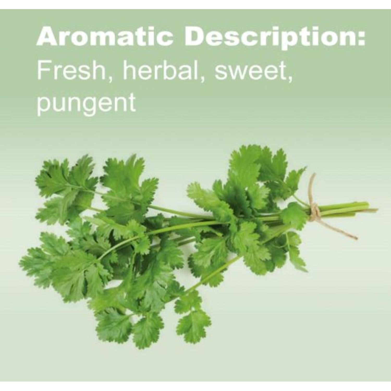 Aceite Esencial de Cilantro doTERRA 15 mL - Aroma Fresco