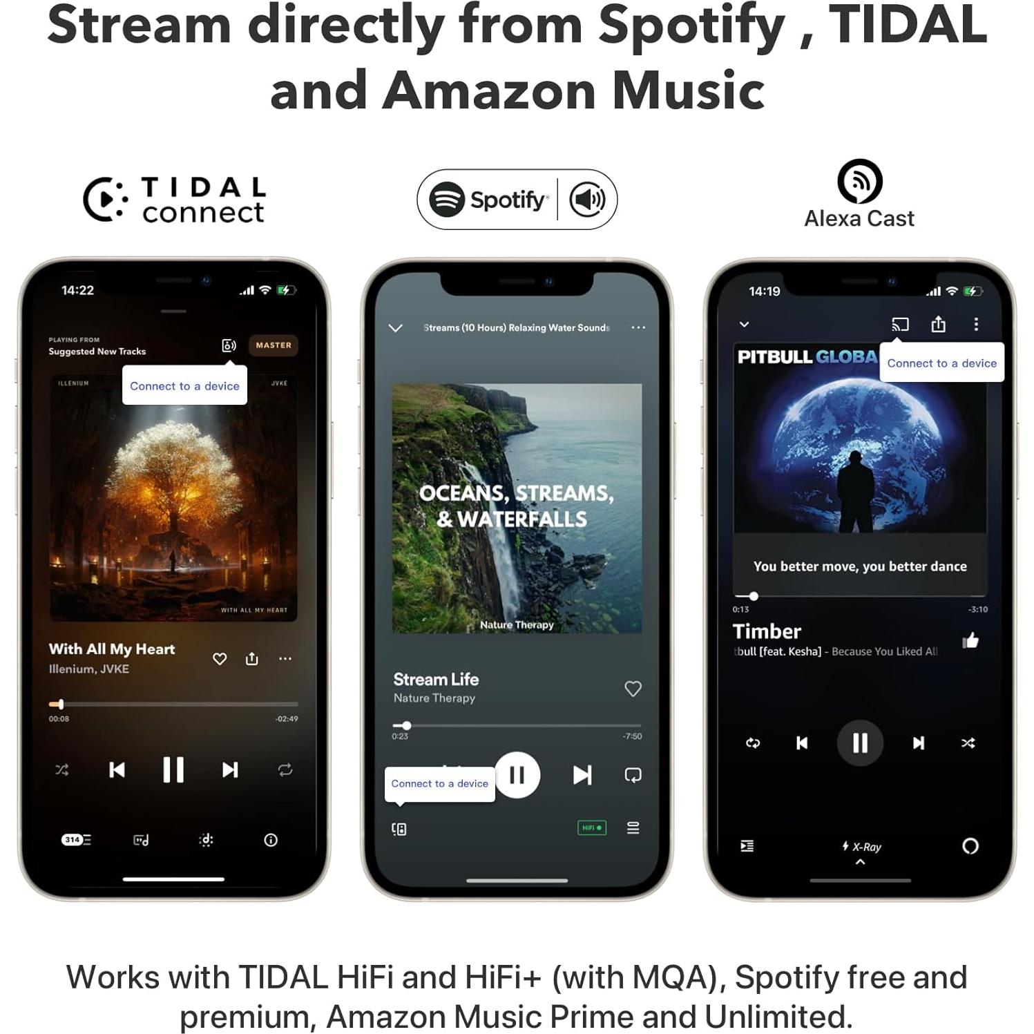 Streamer WiFi WiiM Pro Hi-Res Audio Multiroom 329g