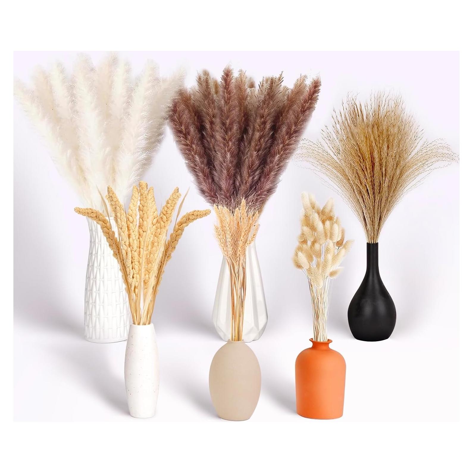 Ramo de Hierba Pampas Secas Naturales 100 Pcs 43 cm Decoración