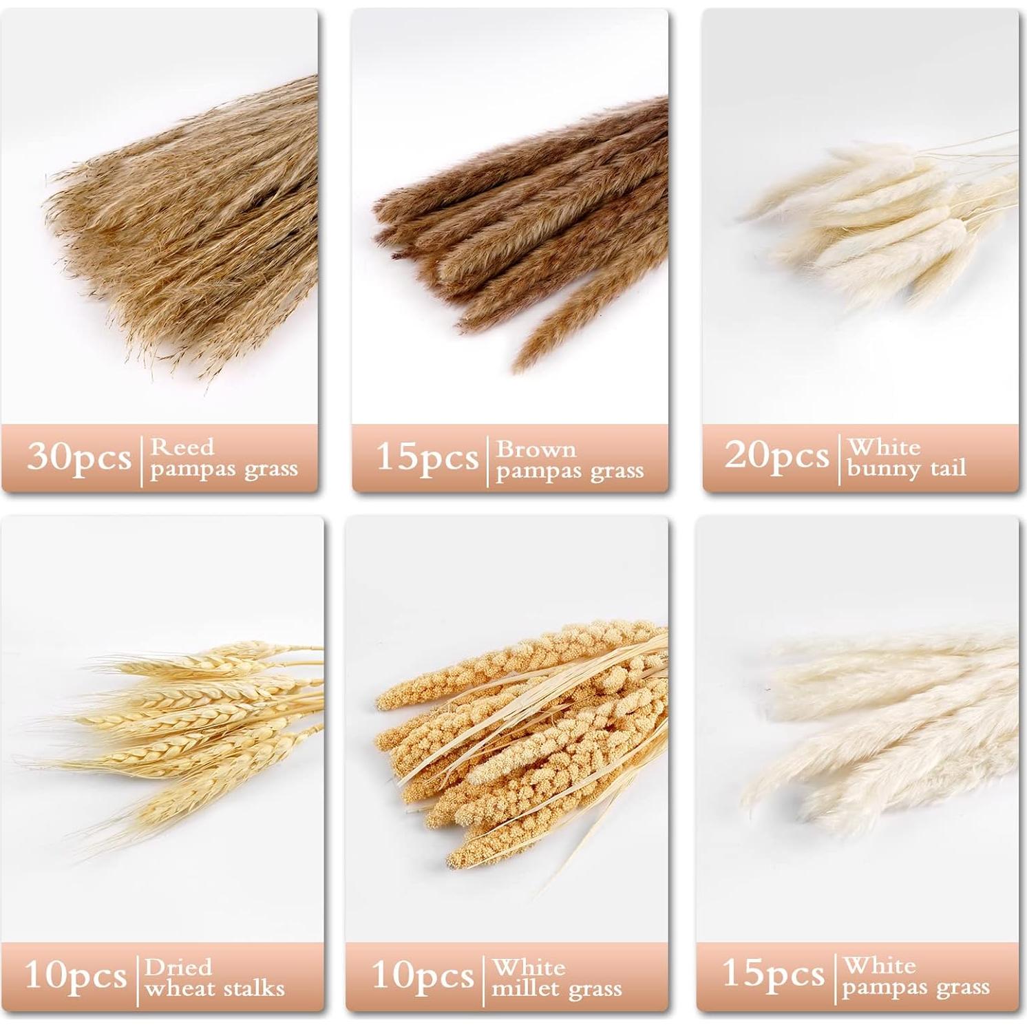 Ramo de Hierba Pampas Secas Naturales 100 Pcs 43 cm Decoración